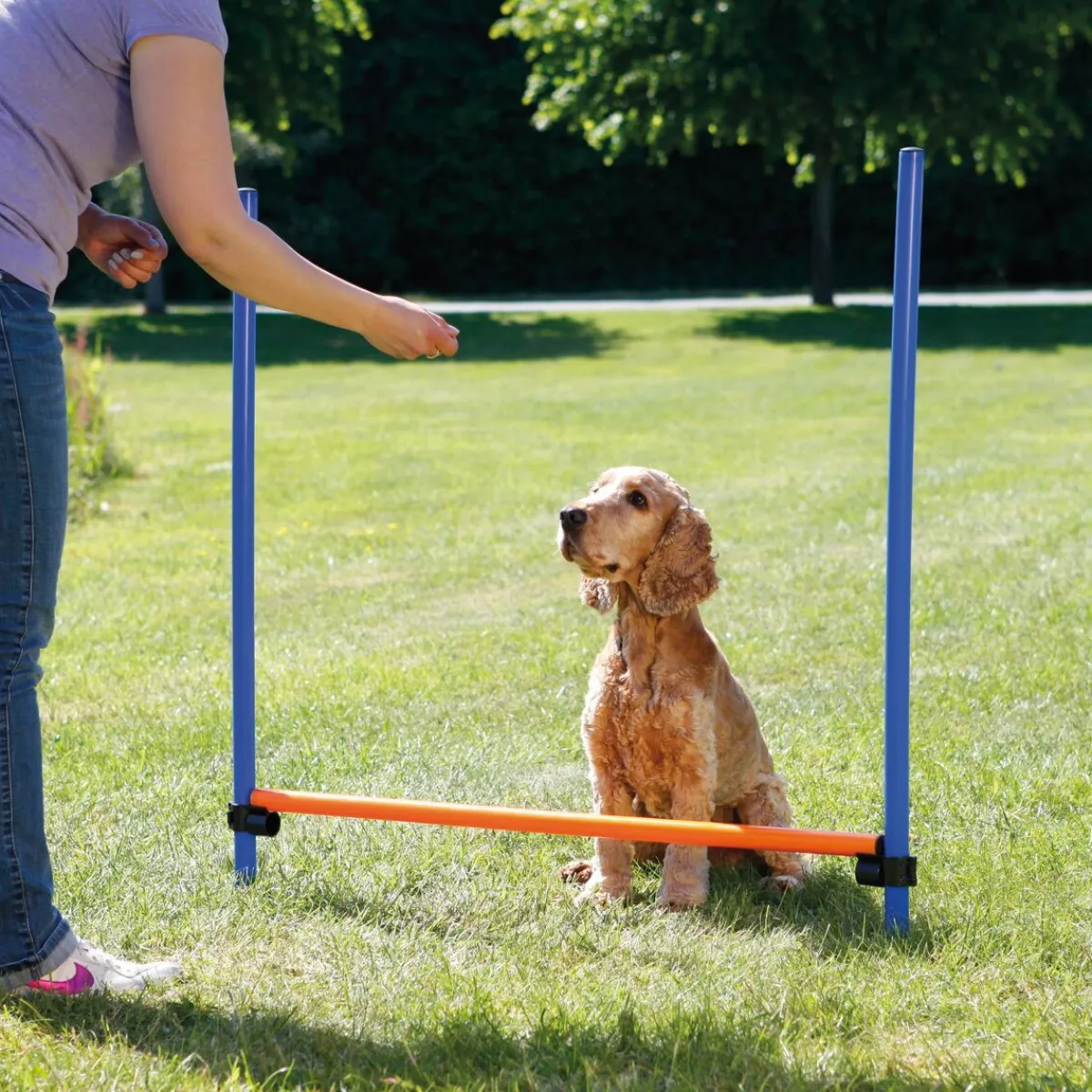 Agility aitaeste 123 x 115 cm>Trixie Best