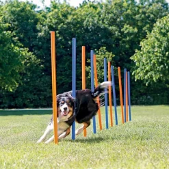Agility pujottelueste 12 keppiä>Trixie