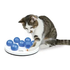 Aktivointilelu Cat Solitaire>Trixie Clearance