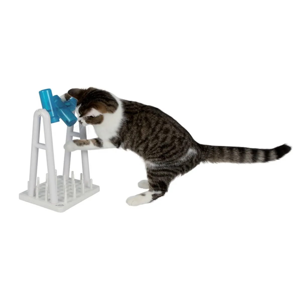 Aktivointilelu Cat Turn Around>Trixie