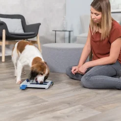 Aktivointilelu Mini Mover>Trixie