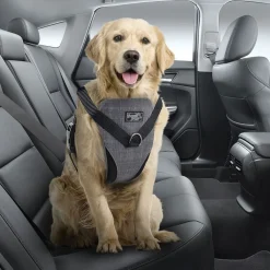 koiran autovaljaat>All For Paws Outlet