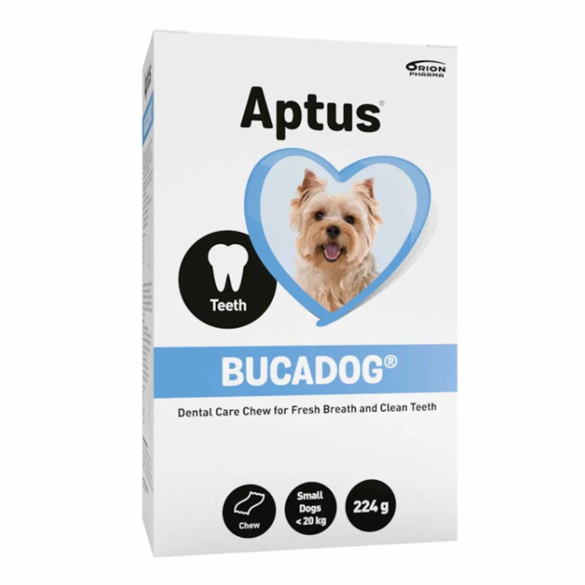 Bucadog purupala>Aptus
