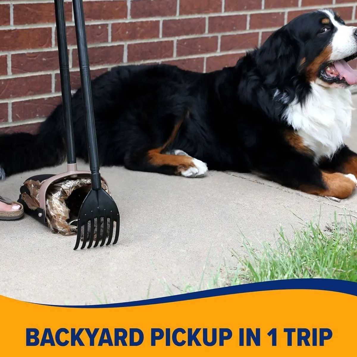 Arm & Hammer ™ Swivel Bin & Rake>Arm&Hammer
