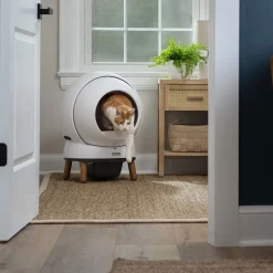 Automaattinen kissanvessa SmartSpin>Petsafe Sale