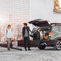Auton puskurinsuoja>Thule