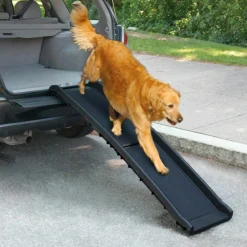 Autoramppi Travel Dog>All For Paws Outlet