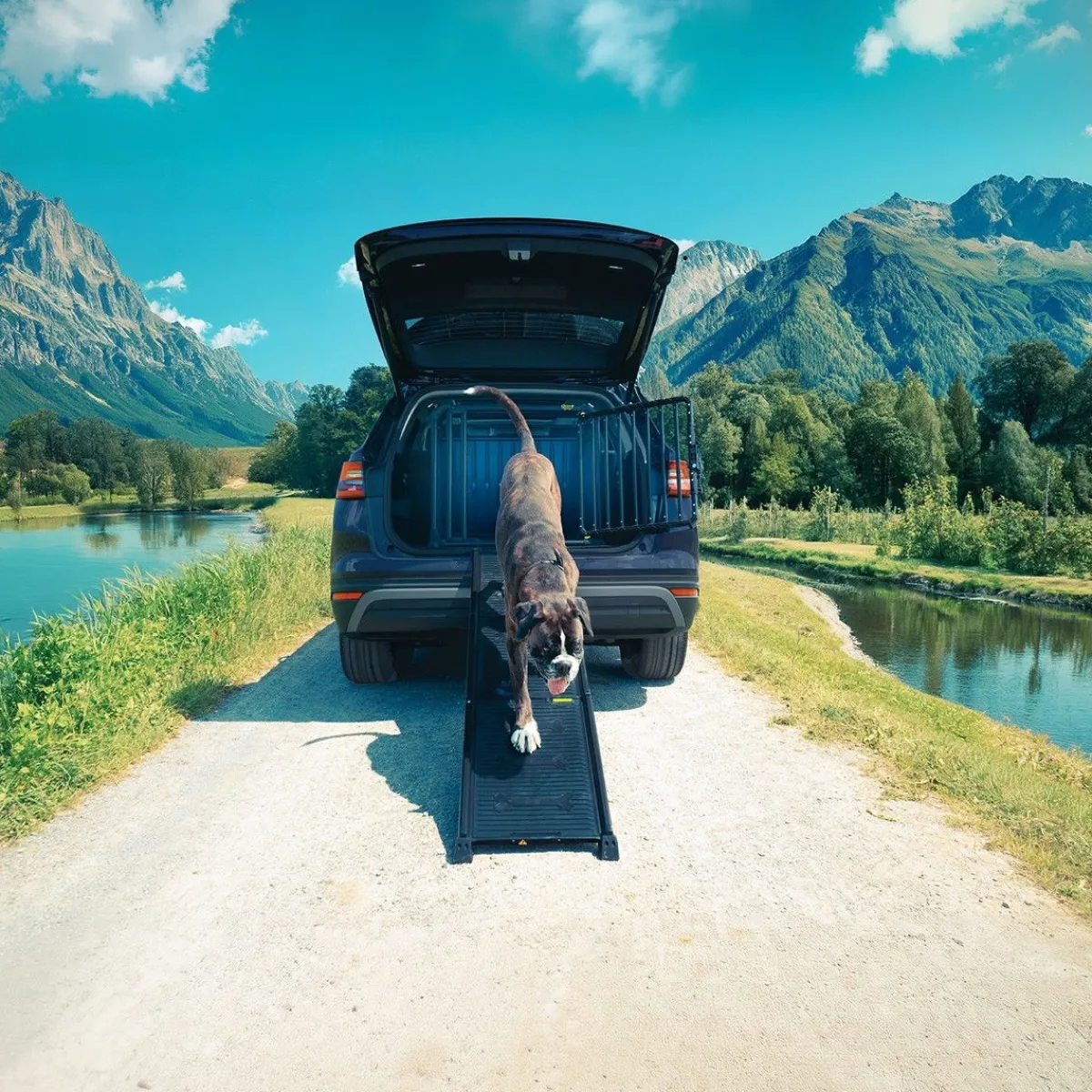 Autoramppi koiralle EasySteps>4Pets Online