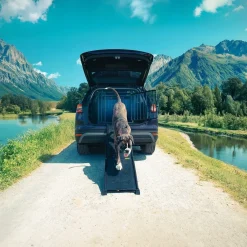 Autoramppi koiralle EasySteps>4Pets Online