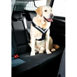 Autovaljaat koiralle Allsafe>MIM New