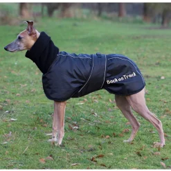 Whippet-takki>Back on Track Hot