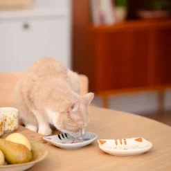 CatFace keraaminen kuppi, beige>Basic New