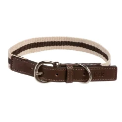 Premium kaulapanta Harri, beige>Basic Clearance
