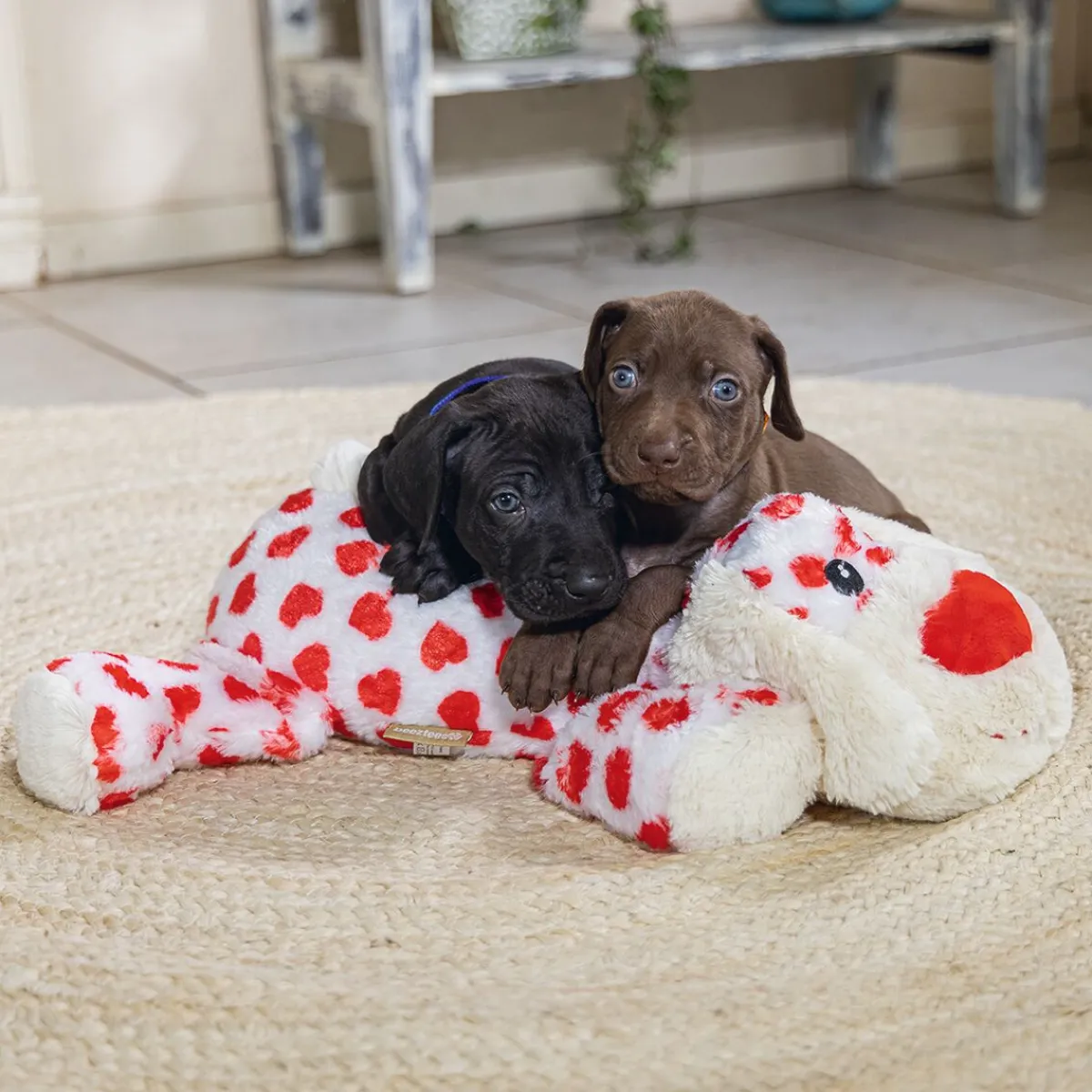 Cuddle Toy Suki XL>Beeztees New