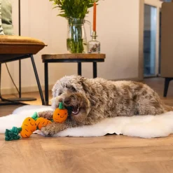 Easter Flossy Rope Carrot>Beeztees Discount