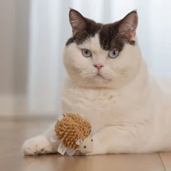 Eco Cat Hedgehog Mozi>Beeztees Discount
