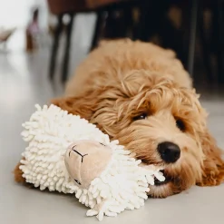 Eco Sheep Jovi>Beeztees Clearance