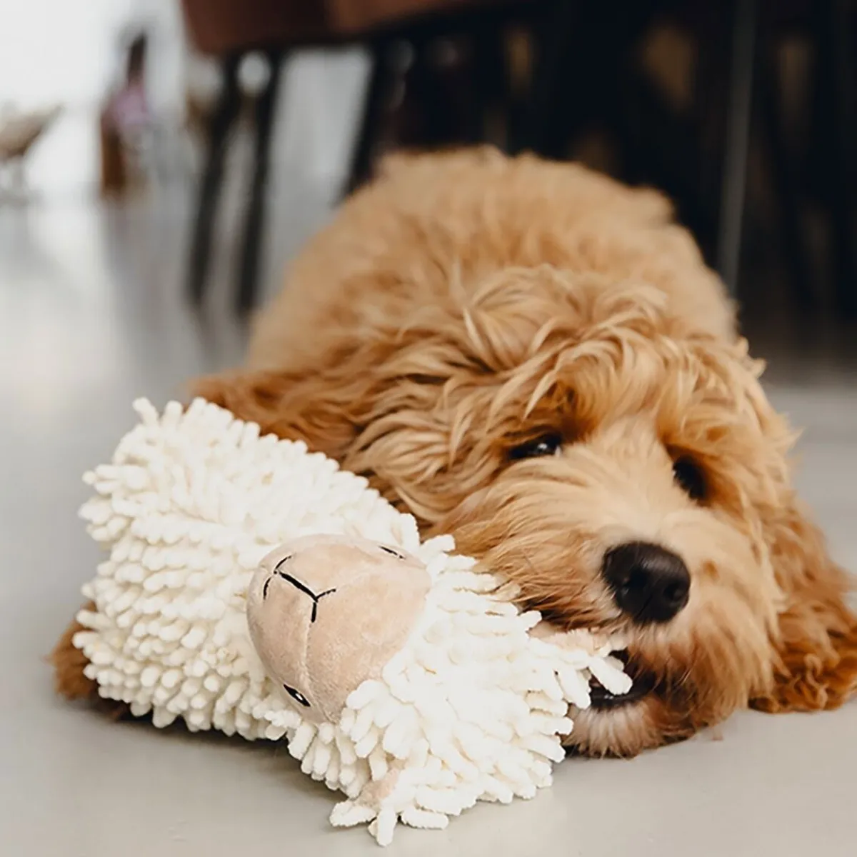 Eco Sheep Jovi>Beeztees Clearance