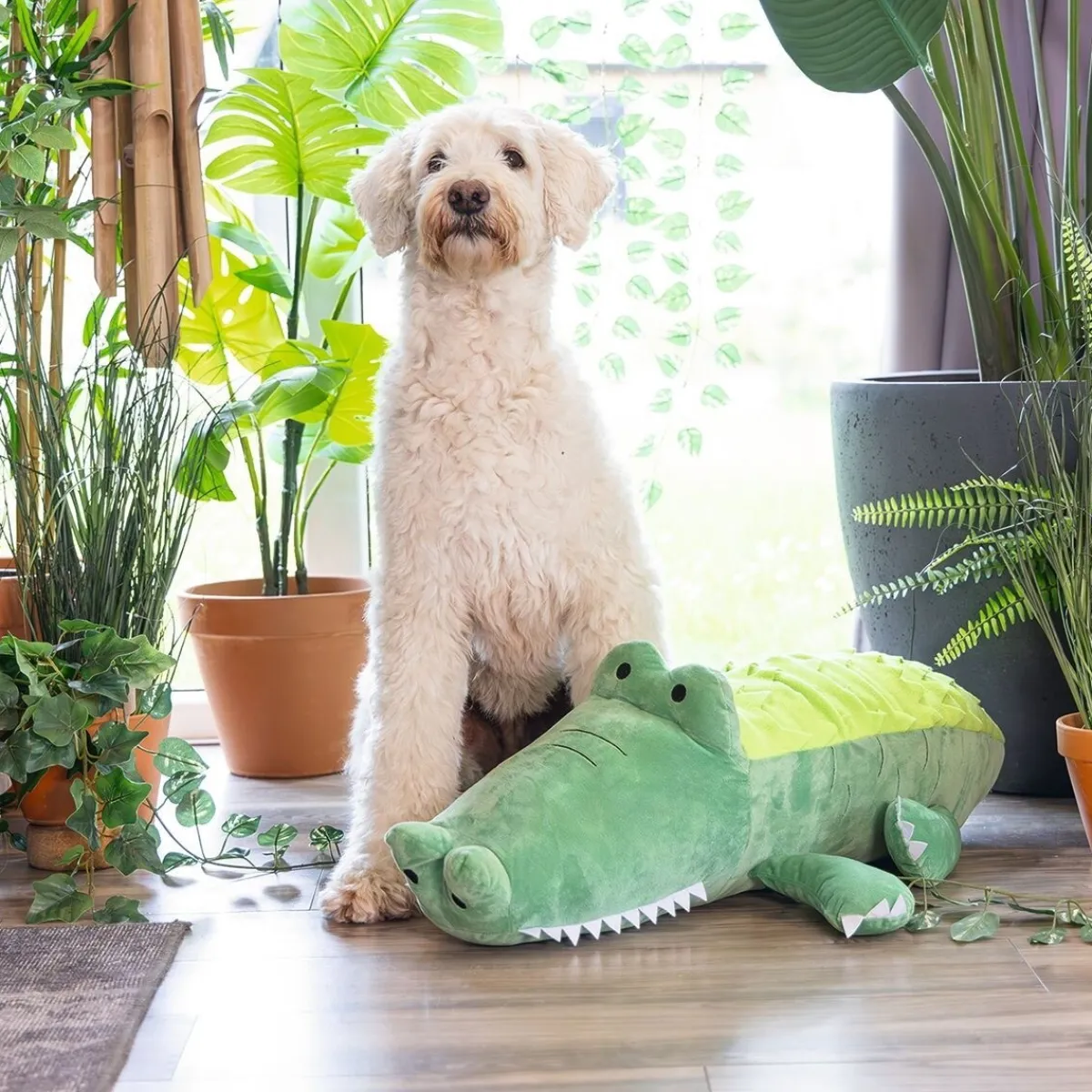 Hide N Seek Jungle Crocodile>Beeztees