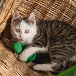 Jungle Cat Snake Craza>Beeztees Hot