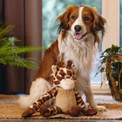Jungle Giraffe>Beeztees Best