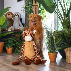 Jungle Giraffe>Beeztees Best