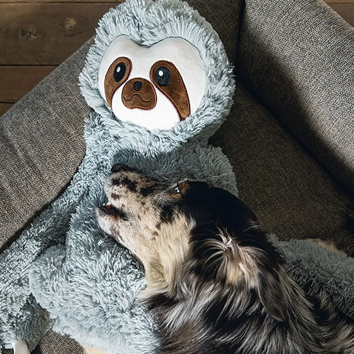 Jungle Sloth Mees>Beeztees Best
