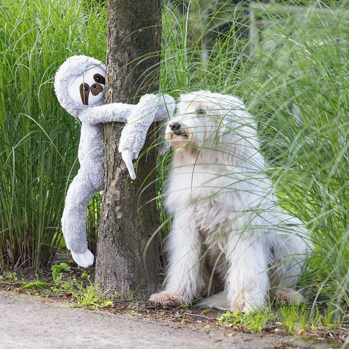 Jungle Sloth Mees>Beeztees Best