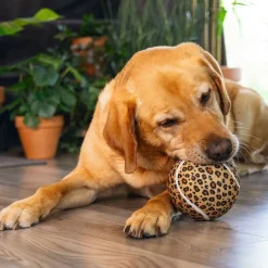Jungle Tennis Ball Panther>Beeztees