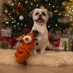 Reindeer Spiral>Beeztees Discount