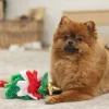 Xmas Tree rope toy>Beeztees Best