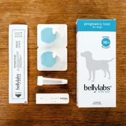 koirien tiineystesti>Bellylabs Best