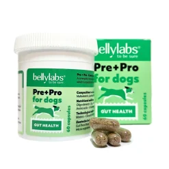 Pre+Pro 60 kapselia>Bellylabs Outlet
