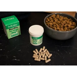 Pre+Pro 60 kapselia>Bellylabs Outlet