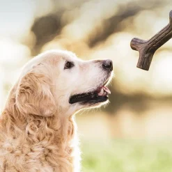 Bacon Stick>Benebone Online