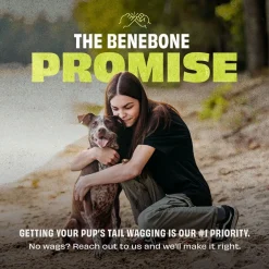 Bounce Cone>Benebone Best