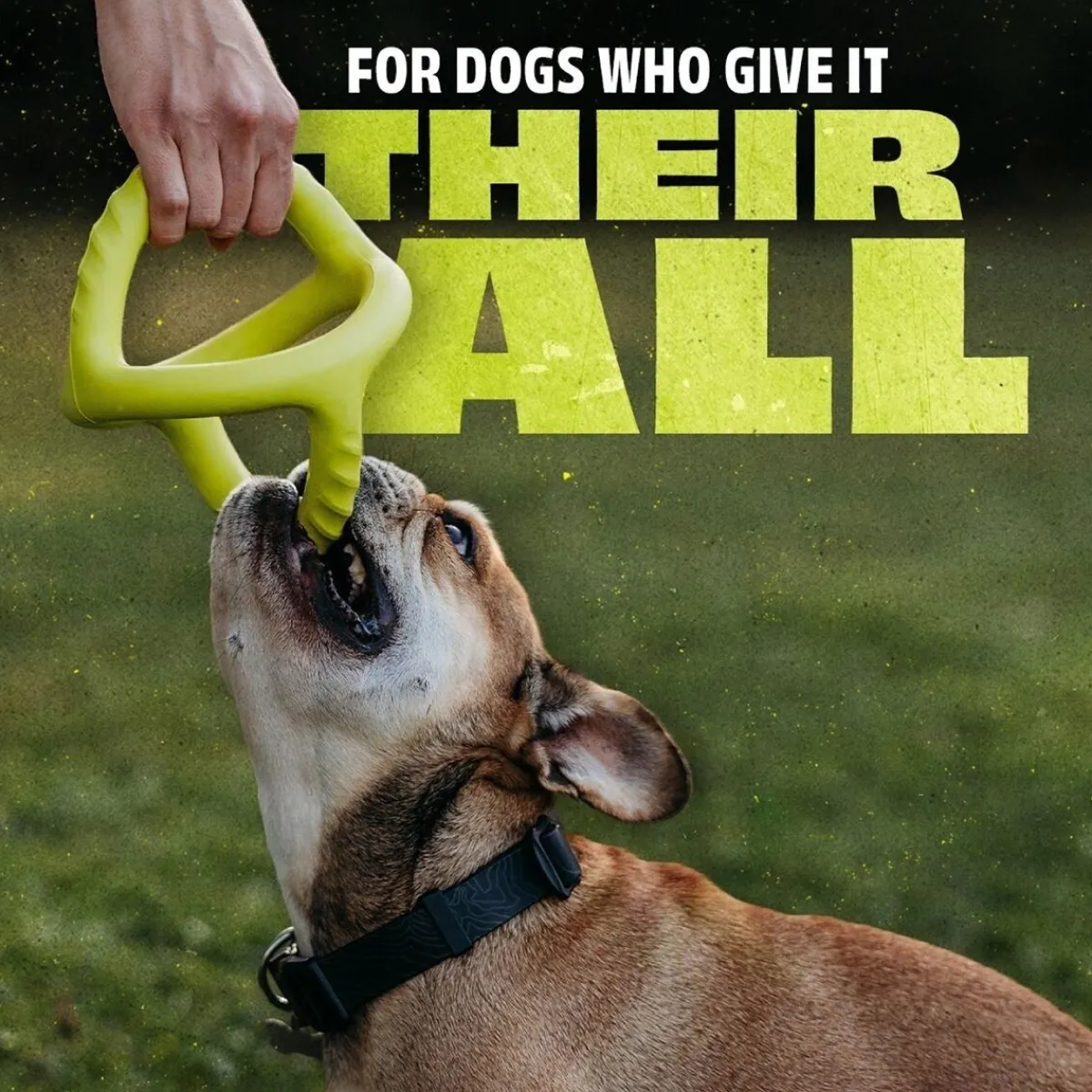 Bounce Tug>Benebone