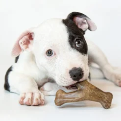Puppy 2 kpl - Dental Chew/Wishbone Bacon Tiny>Benebone Outlet