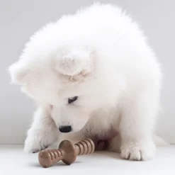 Puppy 2 kpl - Maplestick/Zaggler Bacon Tiny>Benebone Outlet