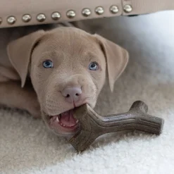 Puppy 2 kpl - Maplestick/Zaggler Bacon Tiny>Benebone Outlet