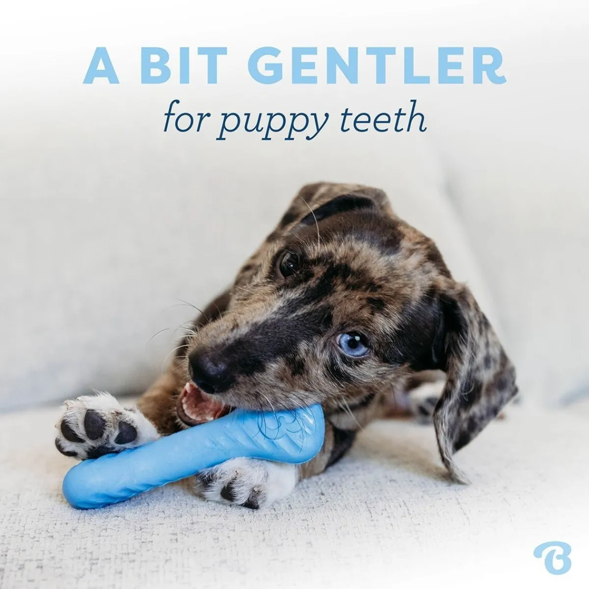 Puppy Rubber Bones Bacon Tiny 2 kpl>Benebone Outlet
