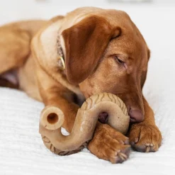 Tripe Bone>Benebone Outlet