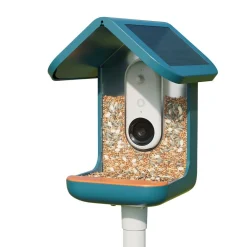 Bird Buddy -lintulauta kameralla>Birdbuddy Outlet