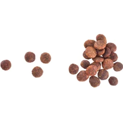 Cat Grain-Free Indoor Anti-stress>Brit Care Hot