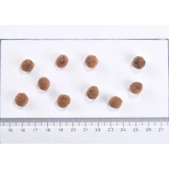 Cat Grain-Free Sterilized Immunity Support>Brit Care Hot