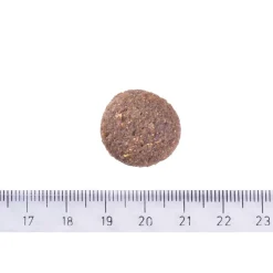 Dog Adult Large Breed Hypoallergenic>Brit Care Online