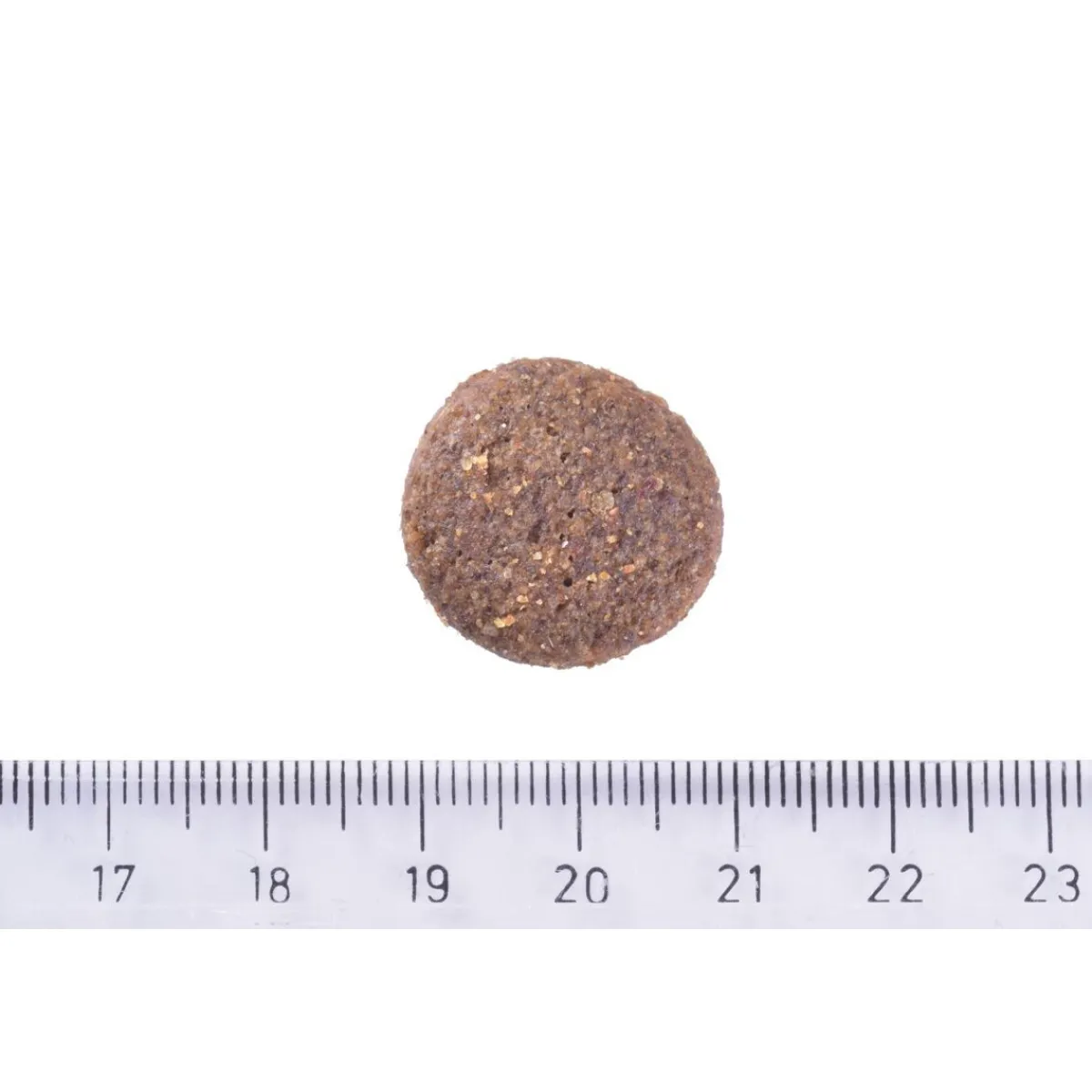 Dog Adult Large Breed Hypoallergenic>Brit Care Online
