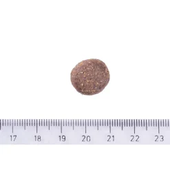 Dog Junior Large Breed Grain-free>Brit Care New