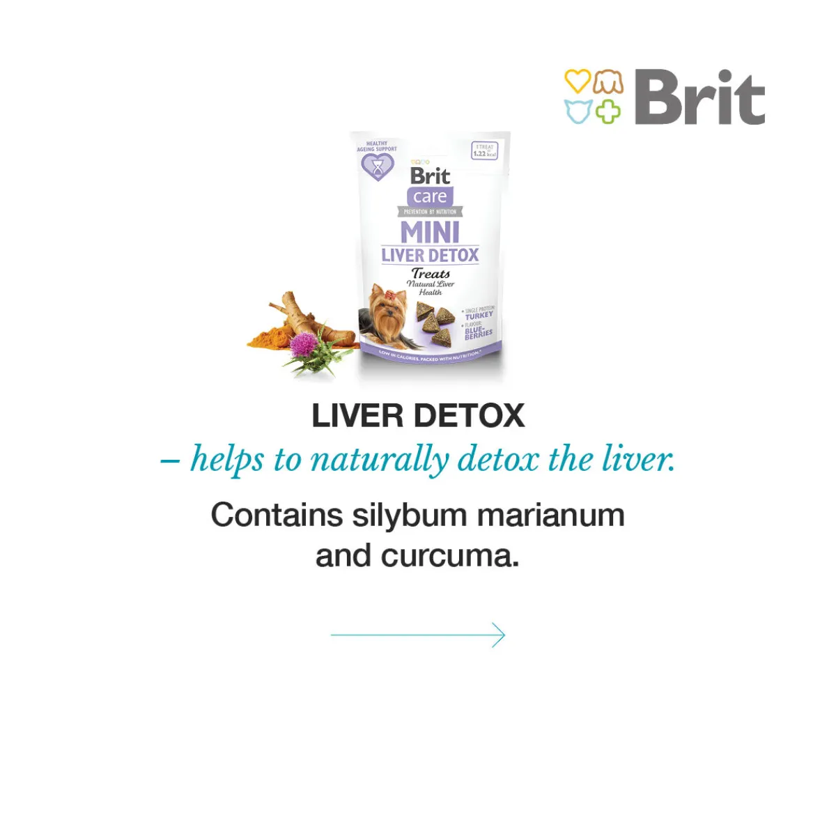 Dog Miniherkut LIVER DETOX 50 g>Brit Care Outlet