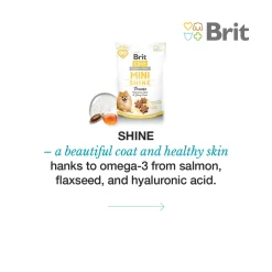 Dog Miniherkut SHINE 50 g>Brit Care Sale